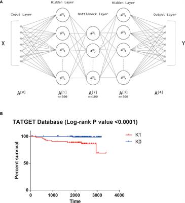 Deep learning-based transcriptome model predicts survival of T-cell acute lymphoblastic leukemia